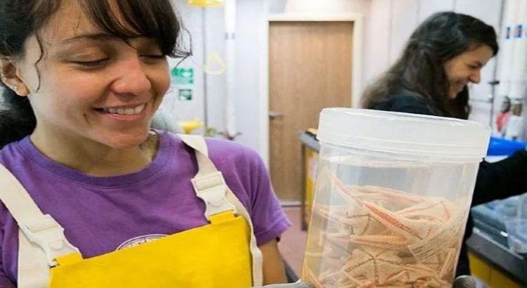 Mexicana descubre especies nuevas en el fondo marino