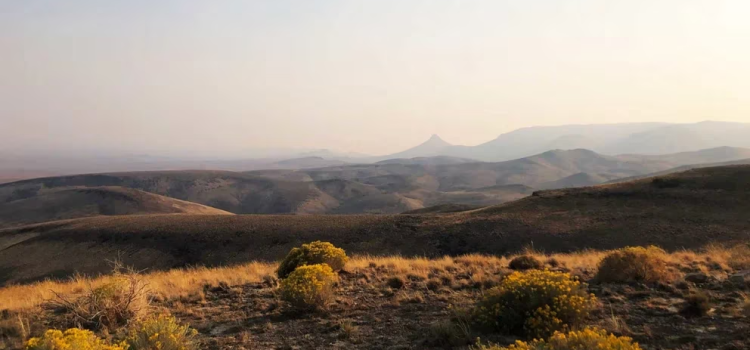 Nevada contiene una mega reserva de litio que podría convertirse en la más grande del mundo