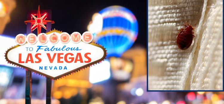 Chinches invaden hoteles de Las Vegas: preocupación entre los turistas
