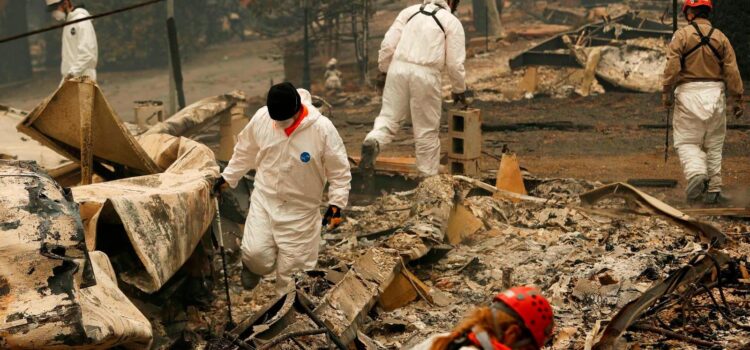 Incendios en Los Ángeles: sube a 27 la cifra de muertos