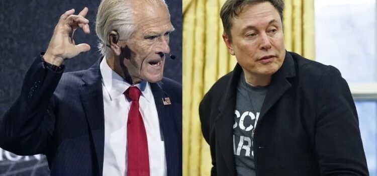 Elon Musk llama “imbécil” a Peter Navarro, asesor económico de Donald Trump