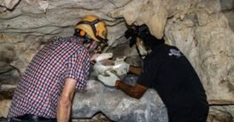 INAH recupera una olla prehispánica en cueva del sistema Garra de Jaguar en QRoo