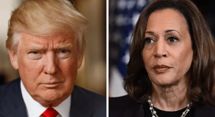 Trump retira protección del servicio secreto a Kamala Harris
