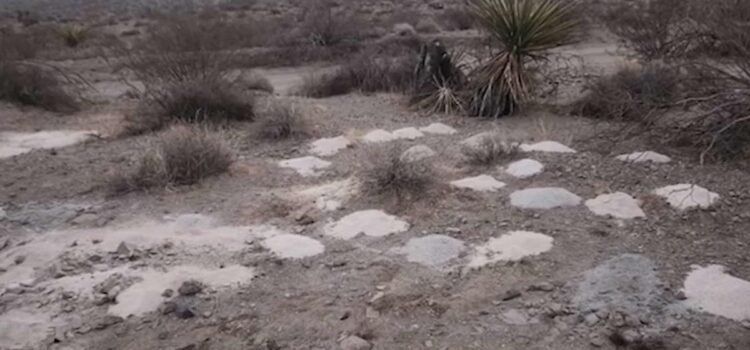 Funcionarios federales investigan descubrimiento de restos humanos en el desierto de Nevada