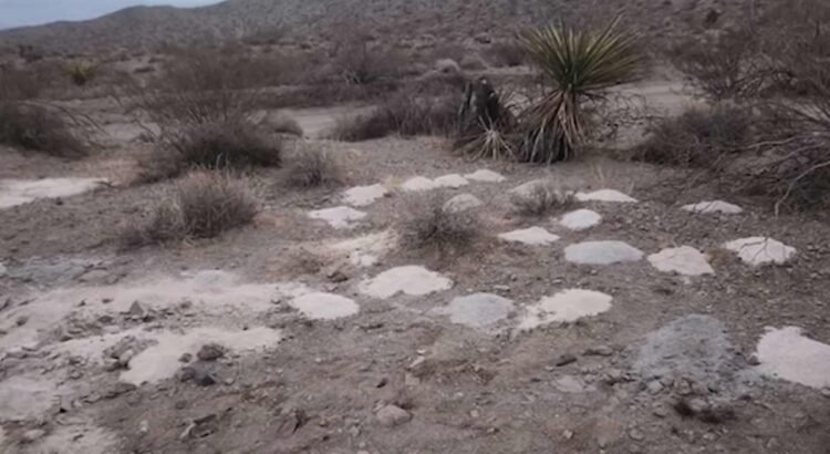 Funcionarios federales investigan descubrimiento de restos humanos en el desierto de Nevada