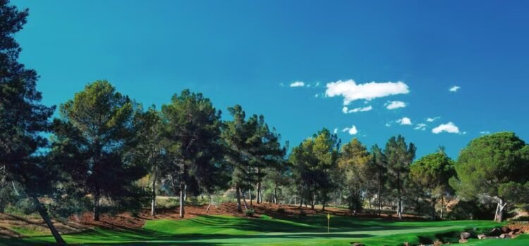 La LPGA se asocia con Saudi Golf para lanzar el torneo de Las Vegas