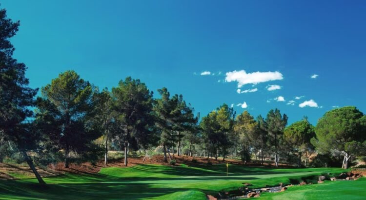 La LPGA se asocia con Saudi Golf para lanzar el torneo de Las Vegas La LPGA se asocia con Saudi Golf para lanzar el torneo de Las Vegas